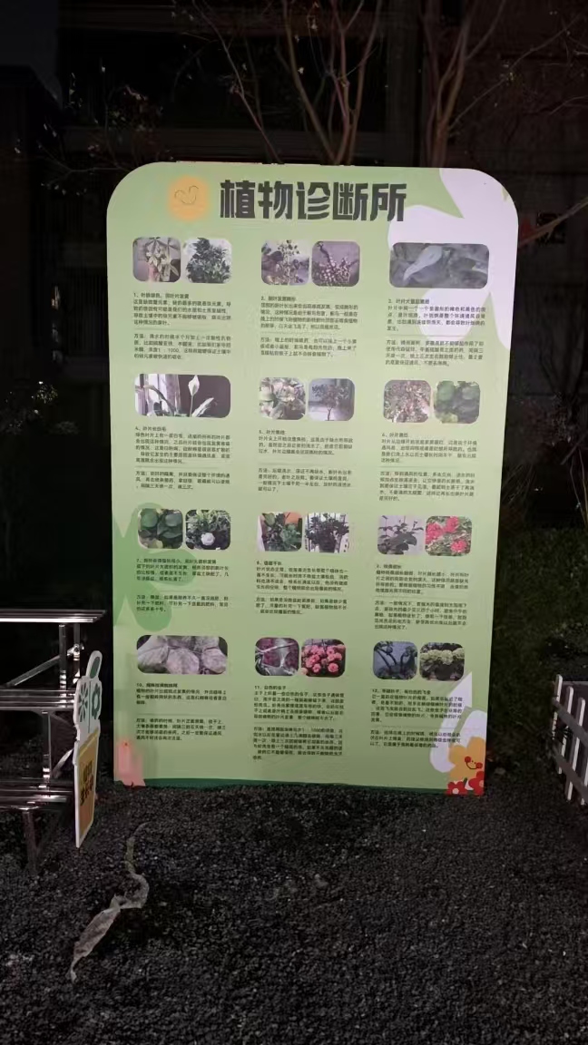ѧʵ罨