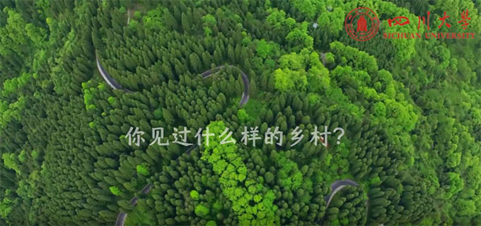硱Լɽˬ